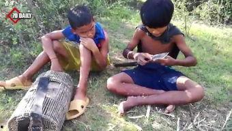 黄鳝钻洞在线视频播放,揭秘神奇生物的生存智慧